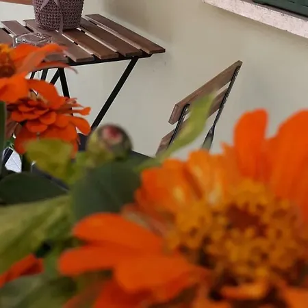 Casatevere Holiday home